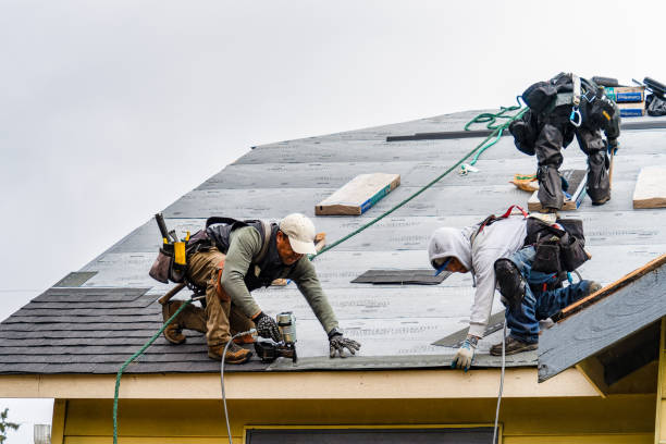 Professional Emergency Roof Repair technician working in Cooperstown, ND